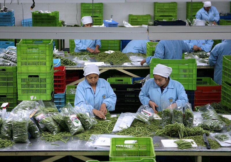 Guatemala organiza feria internacional Agritrade y se espera la presencia de más de 100 compradores internacionales. Guatemala organiza feria internacional Agritrade y se espera la presencia de más de 100 compradores internacionales.