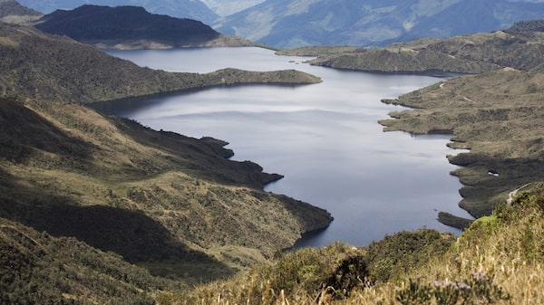 ¿Qué está pasando en Santurbán? Gobierno De la Espriella revocó declaratoria de reserva ¿Qué está pasando en Santurbán? Gobierno De la Espriella revocó declaratoria de reserva