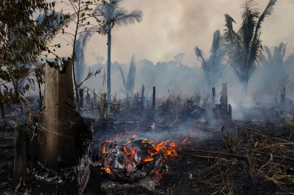 El costo de pasar un punto de inflexión podría ser de US$184.000 millones para 2050, según el Banco Mundial El costo de pasar un punto de inflexión podría ser de US$184.000 millones para 2050, según el Banco Mundial