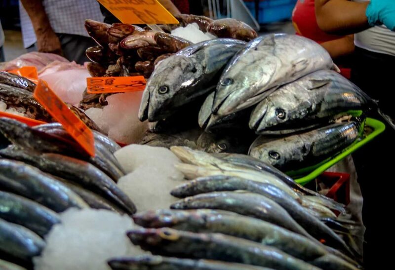 En general, de cada 100 pesos que produce el sector agropecuario cada año, 3 pesos provienen de la actividad acuícola. Además, aporta 0,3% al PIB Nacional y genera más de 53.800 empleos directos y más de 160.000 trabajos indirectos. En general, de cada 100 pesos que produce el sector agropecuario cada año, 3 pesos provienen de la actividad acuícola. Además, aporta 0,3% al PIB Nacional y genera más de 53.800 empleos directos y más de 160.000 trabajos indirectos.