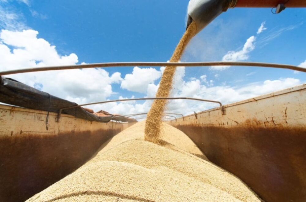 Ministerio de Economía anunciaría una tercera edición del tipo de cambio diferencial para las exportaciones del grano Ministerio de Economía anunciaría una tercera edición del tipo de cambio diferencial para las exportaciones del grano