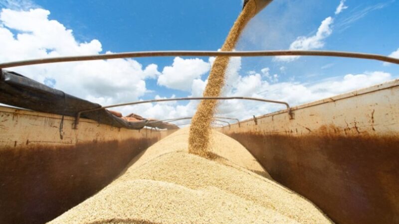 BrasilAgro se beneficia de diversificação, mas sofre efeito do câmbio desvalorizado BrasilAgro se beneficia de diversificação, mas sofre efeito do câmbio desvalorizado