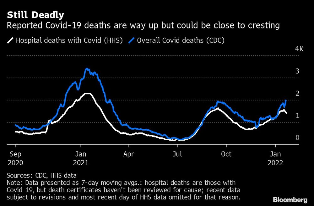 La cifra de muertos de Covid-19 ha aumentado, pero podría estar a punto de alcanzar la cima La cifra de muertos de Covid-19 ha aumentado, pero podría estar a punto de alcanzar la cima