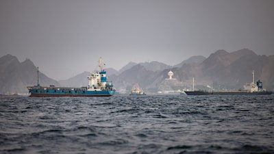 Irán y Omán coordinarán las evacuaciones a través del estrecho de Ormuz, según la OMI Irán y Omán coordinarán las evacuaciones a través del estrecho de Ormuz, según la OMI