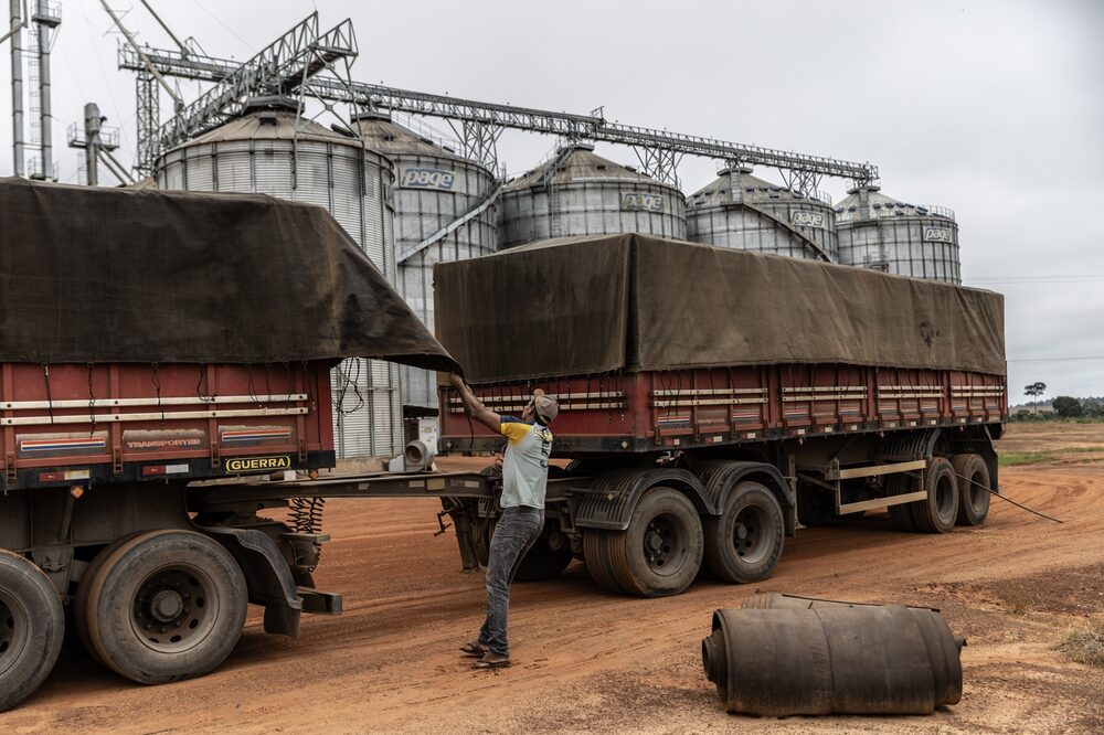 Un conductor asegura una lona sobre la soja antes de salir de una granja cerca de Capixaba, estado de Acre. Fotógrafo: Dado Galdieri/Bloomberg Un conductor asegura una lona sobre la soja antes de salir de una granja cerca de Capixaba, estado de Acre. Fotógrafo: Dado Galdieri/Bloomberg