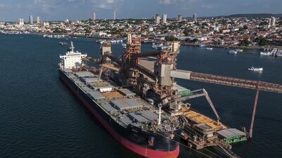 Regulador brasileño permite a comerciantes de soja continuar moratoria en la Amazonia Regulador brasileño permite a comerciantes de soja continuar moratoria en la Amazonia
