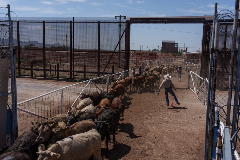 Cinco gráficos clave a seguir esta semana para mercados de materias primas Cinco gráficos clave a seguir esta semana para mercados de materias primas