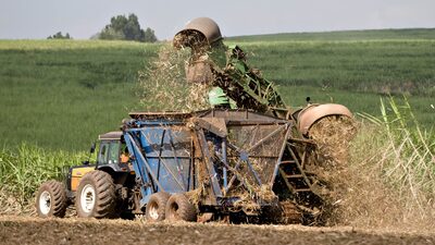 Atvos prevê investir R$ 4,6 bi até 2025 para expandir produção de etanol, diz CEO Atvos prevê investir R$ 4,6 bi até 2025 para expandir produção de etanol, diz CEO