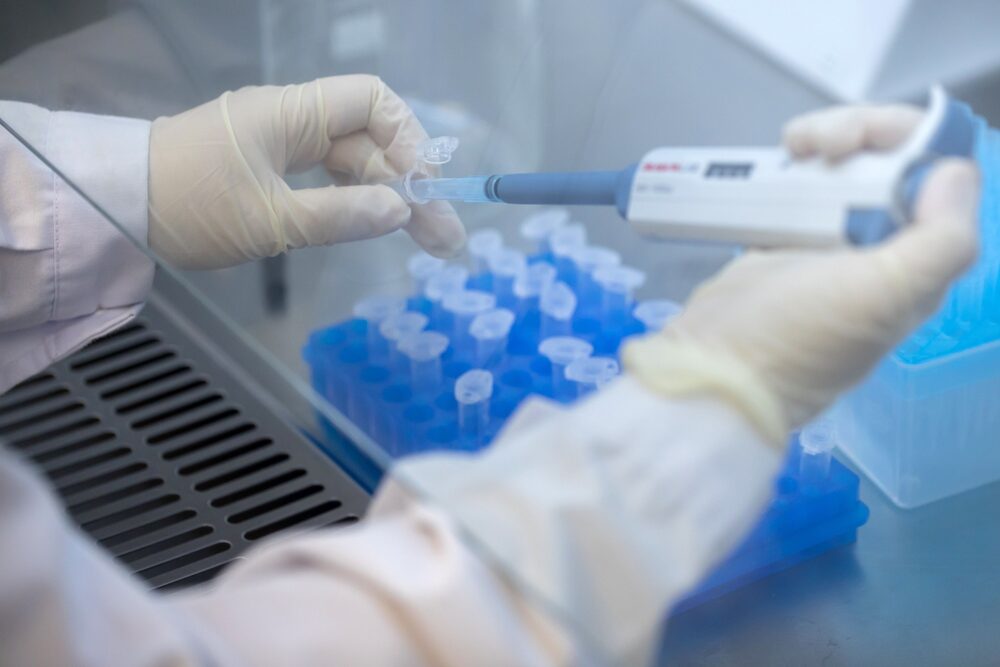 Los investigadores obtuvieron células que al ser reprogramadas se convirtieron biológicamente en unas más jóvenes sin perder su función celular especializada. Los investigadores obtuvieron células que al ser reprogramadas se convirtieron biológicamente en unas más jóvenes sin perder su función celular especializada.