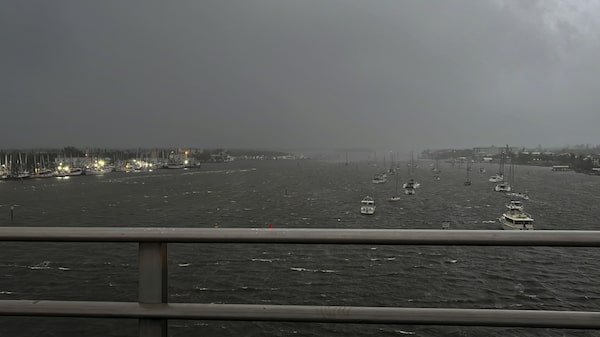 Florida se prepara para la llegada del huracán Ian, con posibles efectos devastadores Florida se prepara para la llegada del huracán Ian, con posibles efectos devastadores