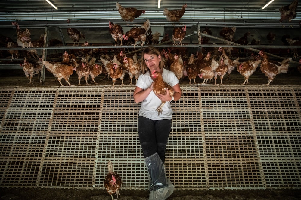 Ainhoa Álava con sus gallinas. Fotógrafo: Ángel García/Bloomberg Ainhoa Álava con sus gallinas. Fotógrafo: Ángel García/Bloomberg