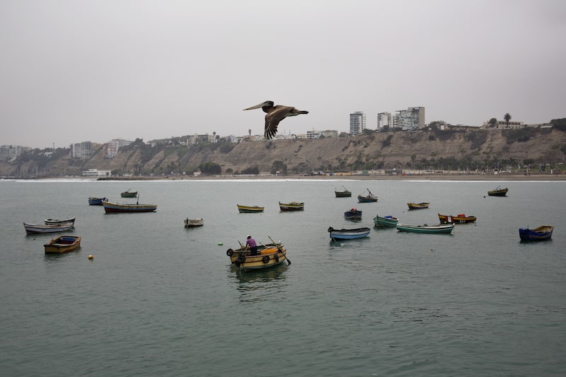 Perú Perú