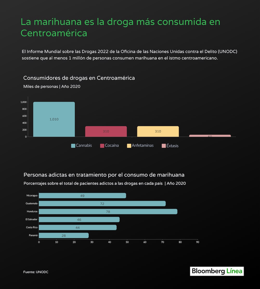 Consumidores de marihuana y drogas en Centroamérica, según un estudio de UNODC publicado en 2022. Consumidores de marihuana y drogas en Centroamérica, según un estudio de UNODC publicado en 2022.