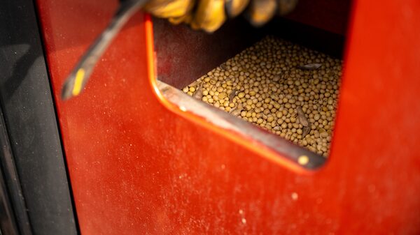 China frena compras de soja a Estados Unidos pese a tregua comercial China frena compras de soja a Estados Unidos pese a tregua comercial