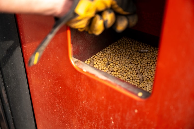 Soybeans undergo quality control during a harvest in Illinois, US. Soybeans undergo quality control during a harvest in Illinois, US.