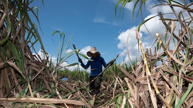 El Niño 2026: países de Latinoamérica que se verían más afectados entre octubre y diciembre El Niño 2026: países de Latinoamérica que se verían más afectados entre octubre y diciembre