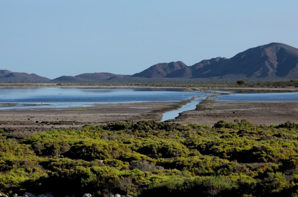 Humedales en el Parque Nacional Bahía de Loreto, el 2 de diciembre de 2024. Humedales en el Parque Nacional Bahía de Loreto, el 2 de diciembre de 2024.