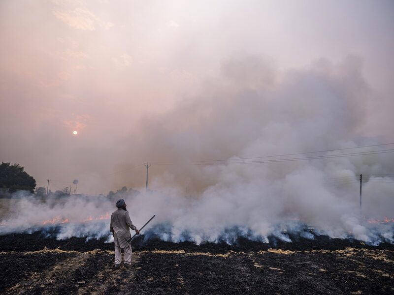 Un trabajador agrícola supervisa la quema de rastrojos de la cosecha de arroz en el distrito de Patiala de Punjab, India, el miércoles 6 de noviembre de 2019. Fotógrafo: Prashanth Vishwanathan/Bloomberg Un trabajador agrícola supervisa la quema de rastrojos de la cosecha de arroz en el distrito de Patiala de Punjab, India, el miércoles 6 de noviembre de 2019. Fotógrafo: Prashanth Vishwanathan/Bloomberg