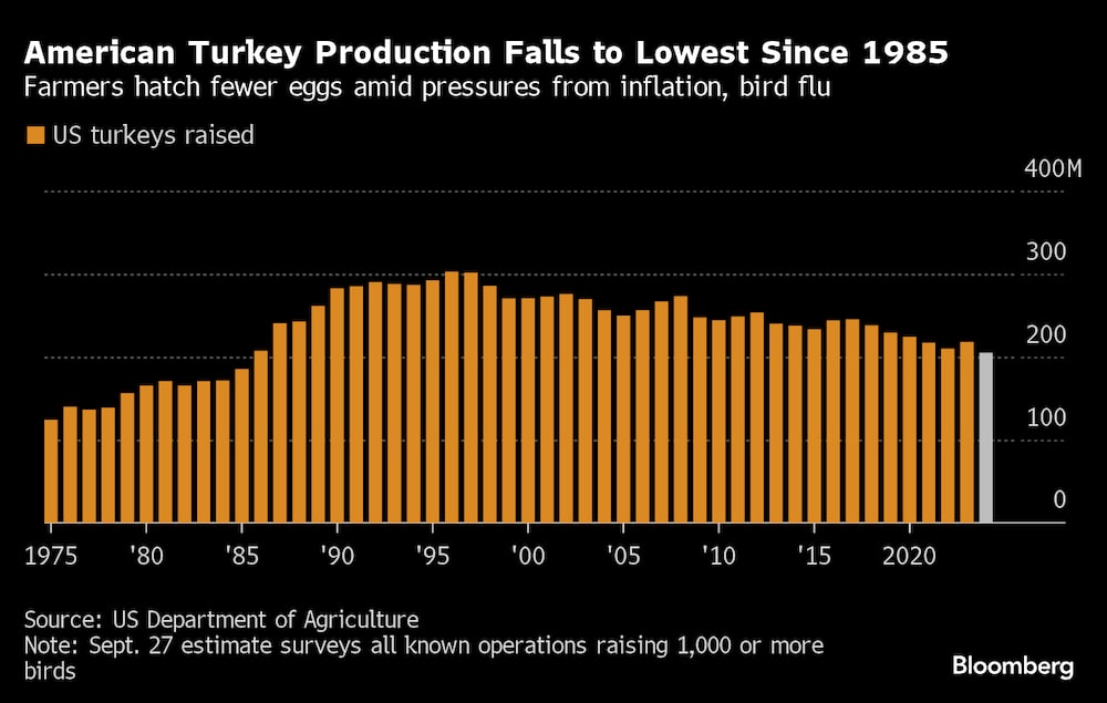 Los granjeros incuban menos huevos entre las presiones de la inflación y la gripe aviar Los granjeros incuban menos huevos entre las presiones de la inflación y la gripe aviar