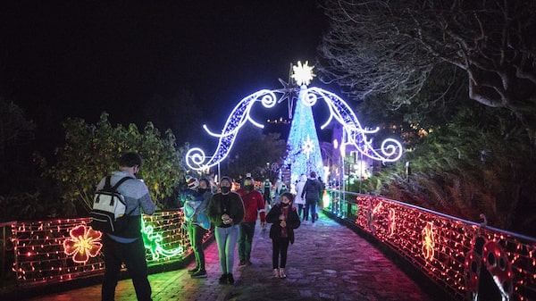 Estos son los países en donde más aumentó el estrés por las compras navideñas Estos son los países en donde más aumentó el estrés por las compras navideñas
