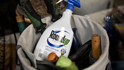 Roundup na mira: acionistas da Bayer elevam pressão sobre CEO antes de decisão nos EUA Roundup na mira: acionistas da Bayer elevam pressão sobre CEO antes de decisão nos EUA