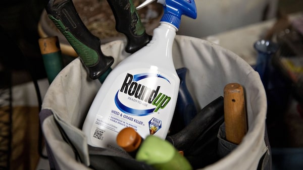 Roundup na mira: acionistas da Bayer elevam pressão sobre CEO antes de decisão nos EUA Roundup na mira: acionistas da Bayer elevam pressão sobre CEO antes de decisão nos EUA