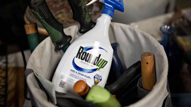 Roundup na mira: acionistas da Bayer elevam pressão sobre CEO antes de decisão nos EUA Roundup na mira: acionistas da Bayer elevam pressão sobre CEO antes de decisão nos EUA