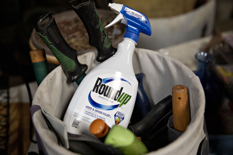Bayer diz ter feito progressos no caso Roundup, mas acionistas cobram por solução mais definitiva Bayer diz ter feito progressos no caso Roundup, mas acionistas cobram por solução mais definitiva