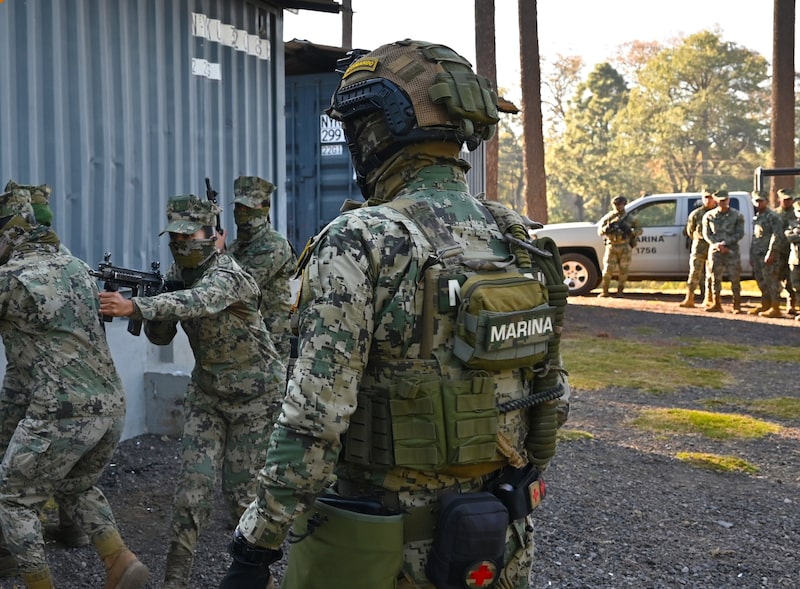 Elementos de la Secretaría de Marina durante un ejercicio de adiestramiento (Foto: Marina). Elementos de la Secretaría de Marina durante un ejercicio de adiestramiento (Foto: Marina).