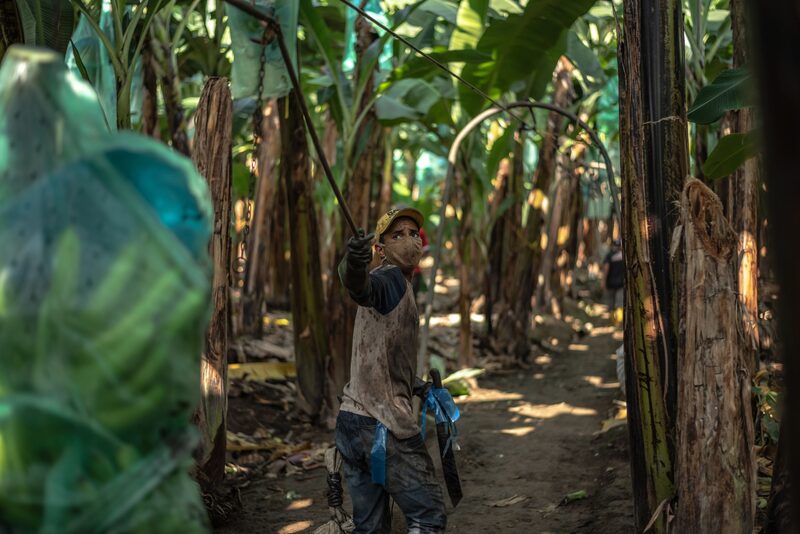 Entre tanto, el instituto señaló que la tasa de participación global fue de 65,6%, Entre tanto, el instituto señaló que la tasa de participación global fue de 65,6%,