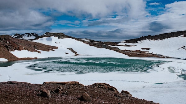Além da Amazônia: Natura mira novos bioativos da Antártida com aporte em startup Além da Amazônia: Natura mira novos bioativos da Antártida com aporte em startup