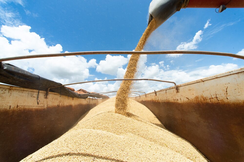 El mercado de aceites vegetales ha experimentado incrementos en los precios del aceite de soja y la harina de colza. El mercado de aceites vegetales ha experimentado incrementos en los precios del aceite de soja y la harina de colza.