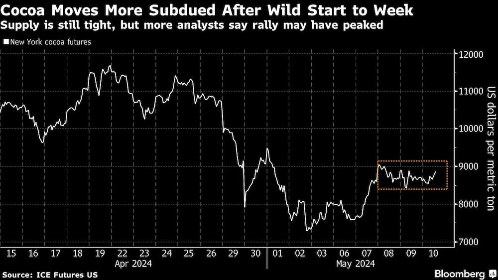Cocoa Moves More Subdued After Wild Start to Week | Supply is still tight, but more analysts say rally may have peaked Cocoa Moves More Subdued After Wild Start to Week | Supply is still tight, but more analysts say rally may have peaked