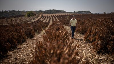 Desplazados climáticos: San José, Montevideo y Lima acogen a más migrantes internos Desplazados climáticos: San José, Montevideo y Lima acogen a más migrantes internos