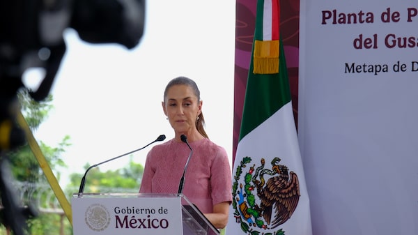 EE.UU. y México abren una planta de moscas estériles para combatir al gusano barrenador EE.UU. y México abren una planta de moscas estériles para combatir al gusano barrenador