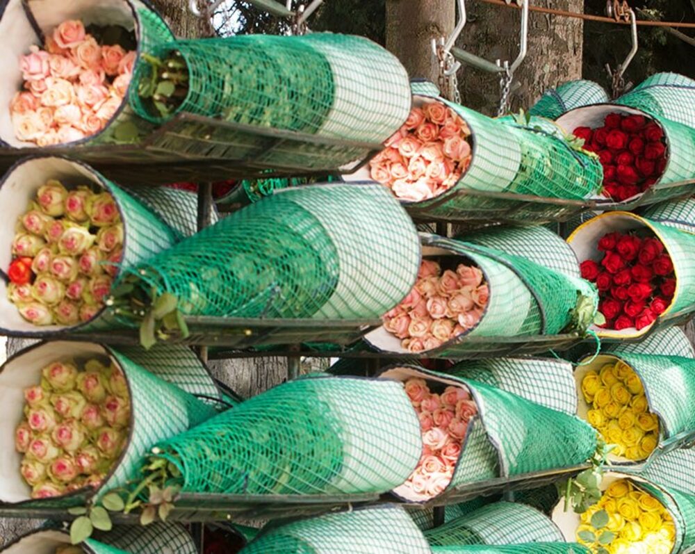 Flowers are one of Ecuador's main export products via air. Flowers are one of Ecuador's main export products via air.