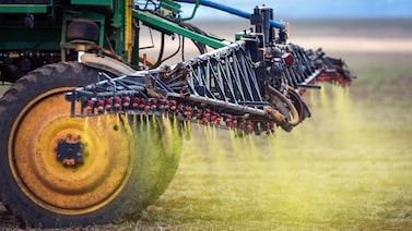 Ministério Público pede banimento do glifosato e amplia pressão sobre Bayer no Brasil Ministério Público pede banimento do glifosato e amplia pressão sobre Bayer no Brasil
