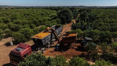 Vitória de Lula frustra busca do ‘lobby’ do agro por mais poder Vitória de Lula frustra busca do ‘lobby’ do agro por mais poder