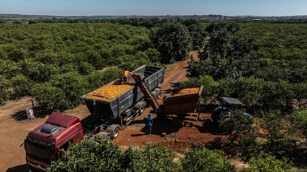 Vitória de Lula frustra busca do ‘lobby’ do agro por mais poder Vitória de Lula frustra busca do ‘lobby’ do agro por mais poder