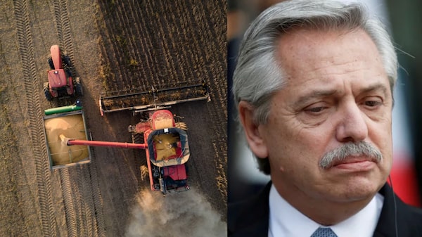 Los seis motivos por los cuales el campo argentino no quiere vender su cosecha Los seis motivos por los cuales el campo argentino no quiere vender su cosecha