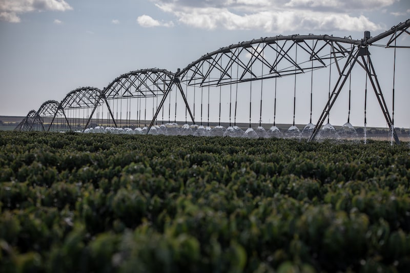 Sistema de irrigação Sistema de irrigação