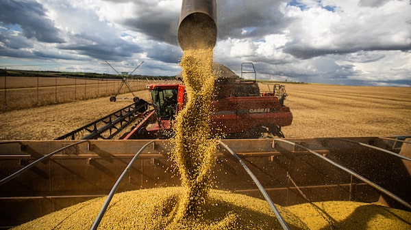 Exportaciones argentinas alcanzan cifra récord y proyecciones son optimistas Exportaciones argentinas alcanzan cifra récord y proyecciones son optimistas