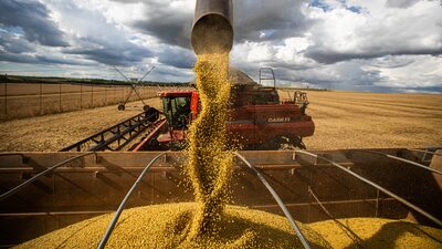 Seca trazida por La Niña impede safra recorde de soja no Brasil Seca trazida por La Niña impede safra recorde de soja no Brasil