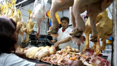 Pollo y huevo en alza y posible escasez por malas medidas del gobierno: Alandia Pollo y huevo en alza y posible escasez por malas medidas del gobierno: Alandia