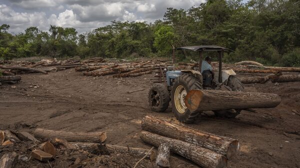 AMLO pide regular mercado de compensación de carbono en México AMLO pide regular mercado de compensación de carbono en México