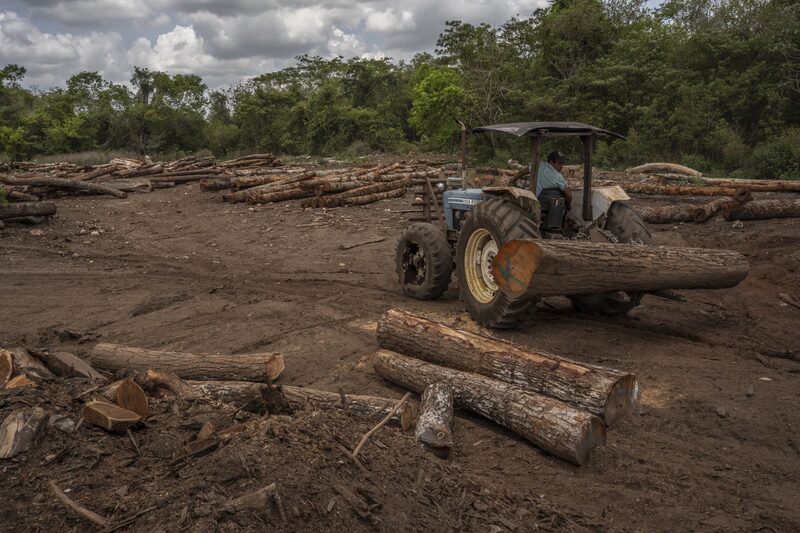 BP pagó solo US$4 por tonelada a más de una docena de comunidades mexicanas BP pagó solo US$4 por tonelada a más de una docena de comunidades mexicanas