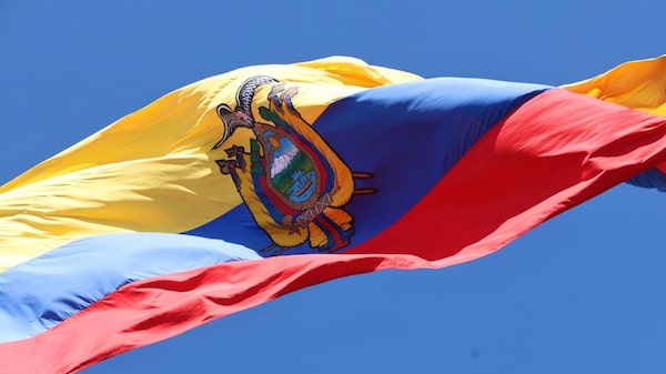 ¿Cuándo son las elecciones y por qué no habrá cambio de domicilio electoral? ¿Cuándo son las elecciones y por qué no habrá cambio de domicilio electoral?