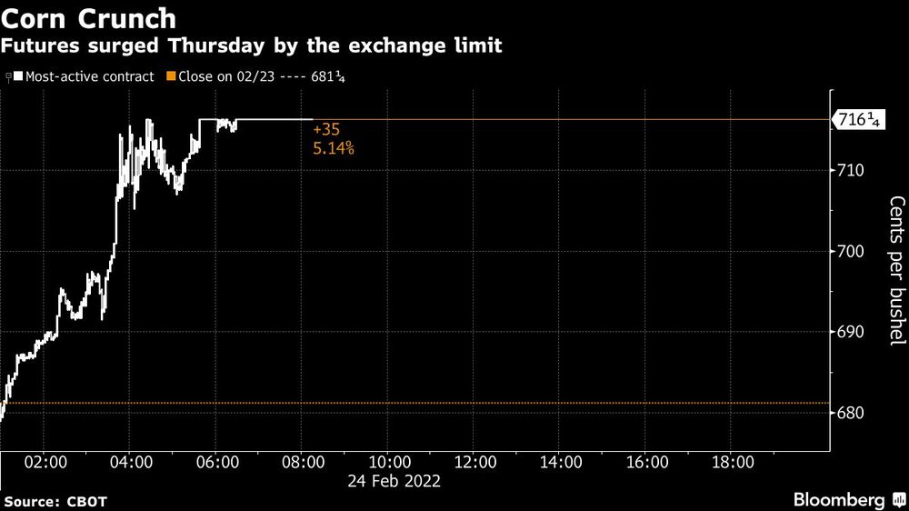 Los futuros del maíz también suben Los futuros del maíz también suben