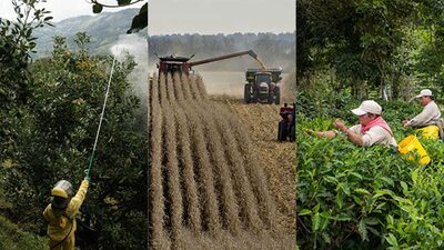 Indústria alimentícia produz mais emissões que setor de transportes Indústria alimentícia produz mais emissões que setor de transportes