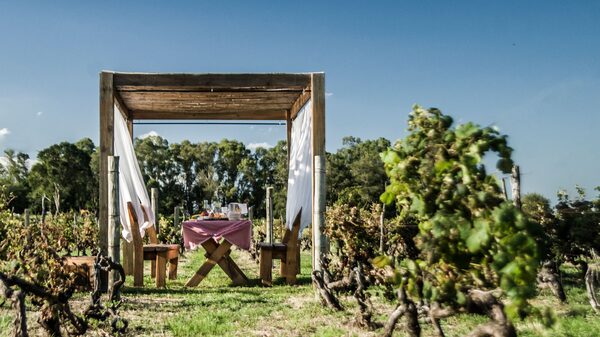 Qué hacer en Carmelo, una escapada en Uruguay a un paso de Buenos Aires Qué hacer en Carmelo, una escapada en Uruguay a un paso de Buenos Aires